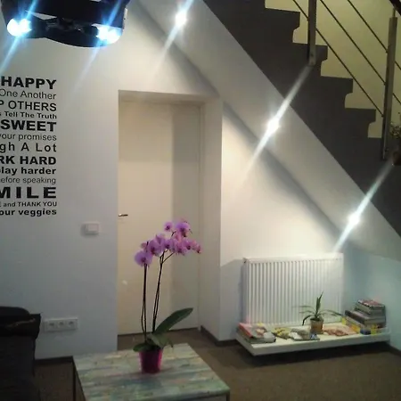 Hostel Happy *
