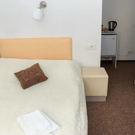 Vandrarhem Happy Kaunas